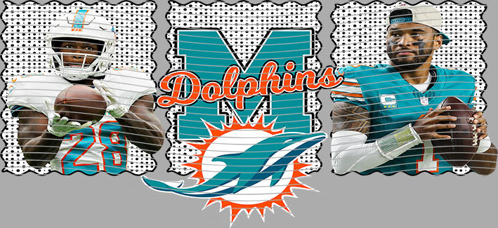 16oz team-NFL 3588